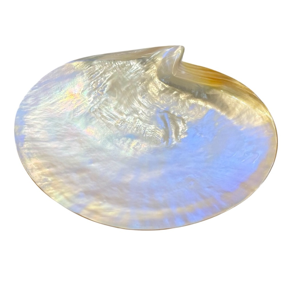 Very Large 9” Mother of Pearl Caviar (& more) Dish - Great Holiday Gift! 6 avail